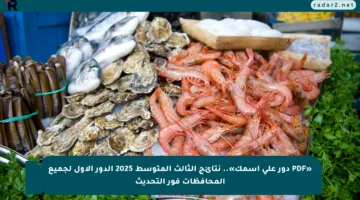 «PDF دور على اسمك».. نتائج الثالث المتوسط 2025 الدور الأول لجميع المحافظات فور التحديث
